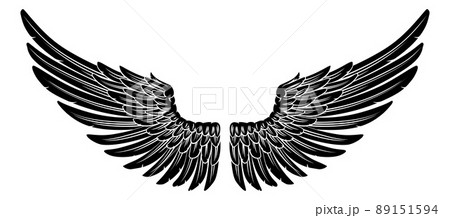Spread Pair Of Angel Or Eagle Feather Wings Spread Pair Of Angel Or Eagle Feather Wings 89151594
