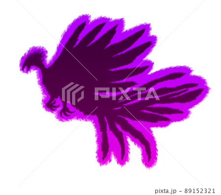 ダークな炎の鳳凰シルエット 紫 のイラスト素材