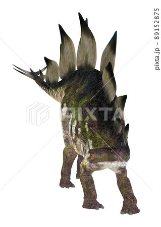ステゴサウルス☆Stegosaur 89152875