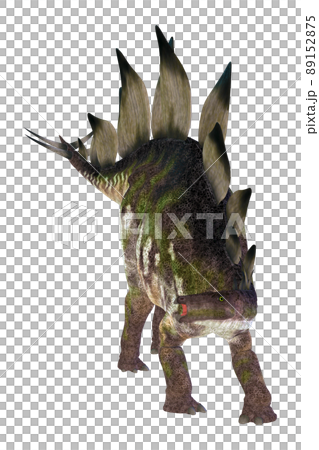 ステゴサウルス☆Stegosaur 89152875