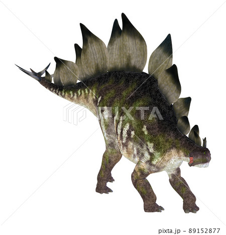 ステゴサウルス☆Stegosaur 89152877