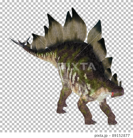 ステゴサウルス☆Stegosaur 89152877