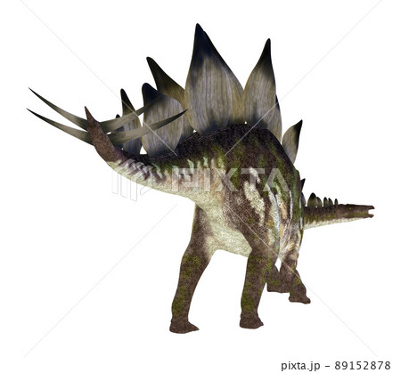 ステゴサウルス☆Stegosaur 89152878