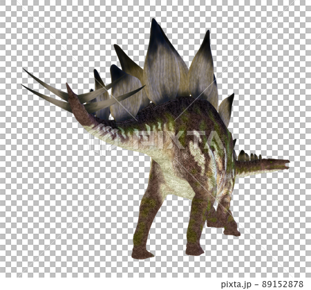 ステゴサウルス☆Stegosaur 89152878