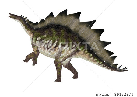 ステゴサウルス☆Stegosaur 89152879