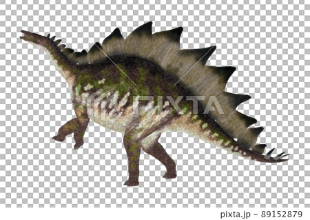 ステゴサウルス☆Stegosaur 89152879