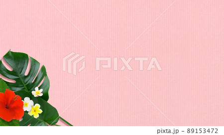 トロピカルな雰囲気の背景素材 89153472