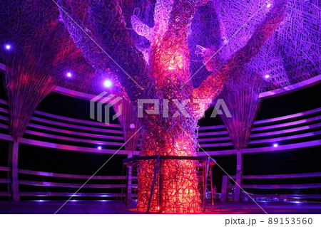 照らす イルミネーション 照明 89153560