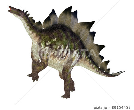 ステゴサウルス☆Stegosaur 89154455