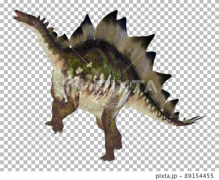 ステゴサウルス☆Stegosaur 89154455