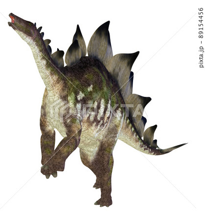 ステゴサウルス☆Stegosaur 89154456