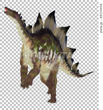 ステゴサウルス☆Stegosaur 89154456