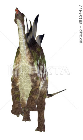 ステゴサウルス☆Stegosaur ステゴサウルス☆Stegosaur 89154457