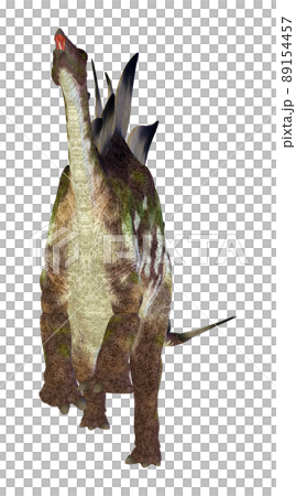 ステゴサウルス☆Stegosaur ステゴサウルス☆Stegosaur 89154457