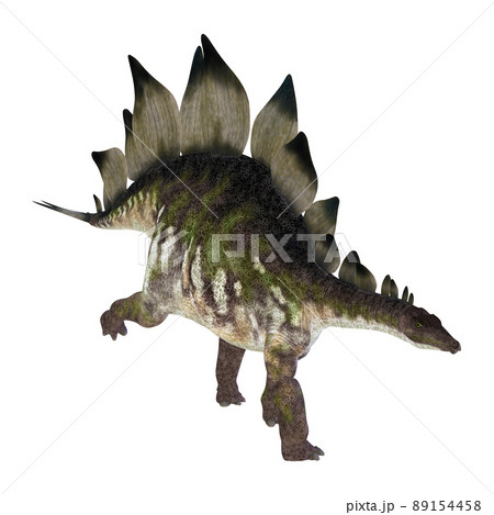 ステゴサウルス☆Stegosaur 89154458