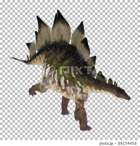 ステゴサウルス☆Stegosaur 89154458