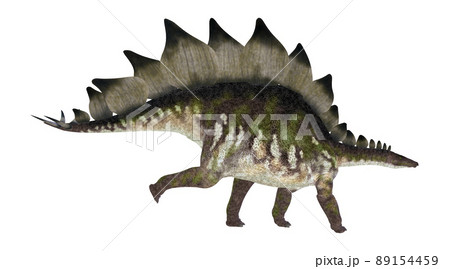 ステゴサウルス☆Stegosaur ステゴサウルス☆Stegosaur 89154459