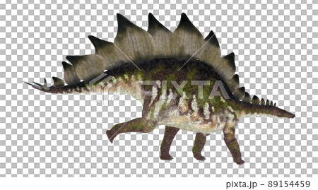Stegosaur ☆ Stegosaur 89154459