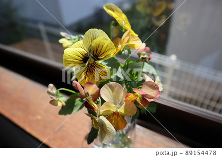 窓辺に庭の花を生ける 窓辺に庭の花を生ける 89154478