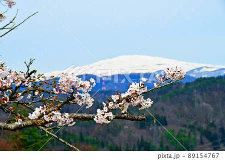 山形県　寒河江市　慈恩寺　肥前楯公園から望む月山 89154767