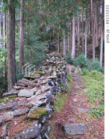 長岩城 石塁 長岩城 石塁 89155035