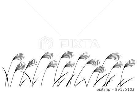 秋の植物 群生するススキのイラスト 白黒のシルエットのイラスト素材