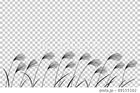 秋の植物 群生するススキのイラスト 白黒のシルエットのイラスト素材