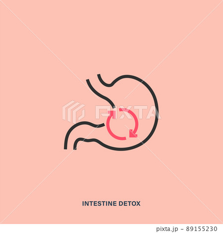 Intestine detox outline vector icon. Isolated linear picture of stomach and arrows 89155230