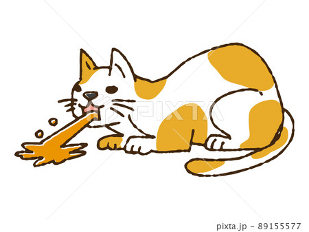 ゲロを吐いた猫 コミカルな手書きの人物 ベクター、温かみのある線画 ゲロを吐いた猫 コミカルな手書きの人物 ベクター、温かみのある線画 89155577