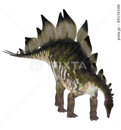 ステゴサウルス☆Stegosaur ステゴサウルス☆Stegosaur 89156306