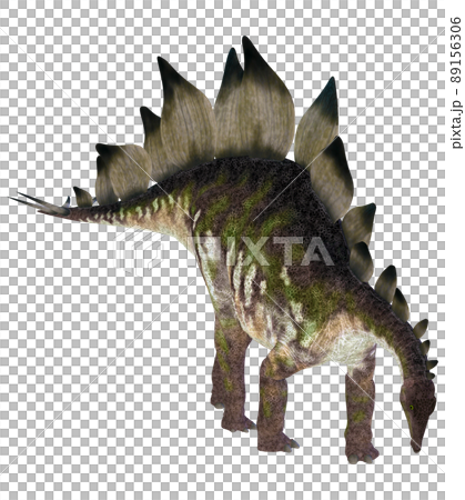 ステゴサウルス☆Stegosaur ステゴサウルス☆Stegosaur 89156306