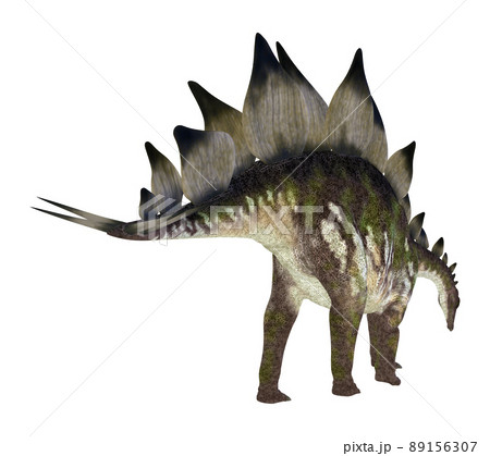 ステゴサウルス☆Stegosaur ステゴサウルス☆Stegosaur 89156307