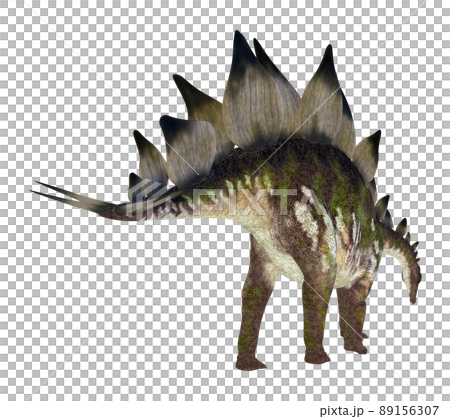 ステゴサウルス☆Stegosaur ステゴサウルス☆Stegosaur 89156307