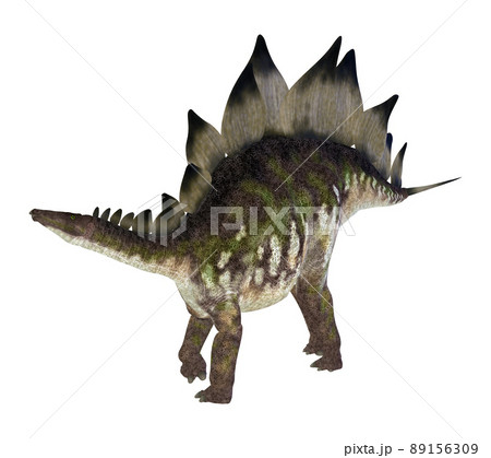 ステゴサウルス☆Stegosaur 89156309