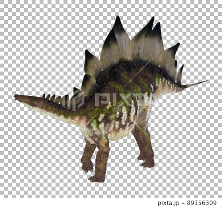ステゴサウルス☆Stegosaur 89156309