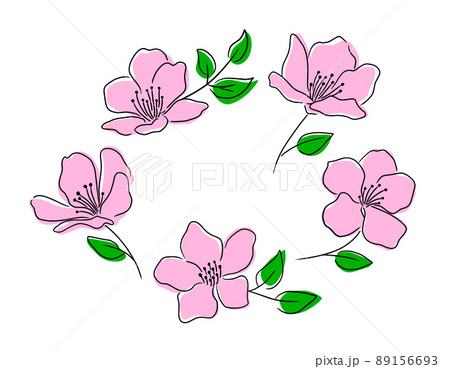 Collection of cherry blossom. Beautiful sakura, vector illustration. Collection of cherry blossom. Beautiful sakura, vector illustration. 89156693