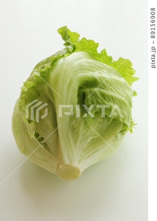 レタス　食材　野菜 89156908