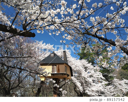 山梨県 清春芸術村の桜とツリーハウス 4月 山梨県 清春芸術村の桜とツリーハウス 4月 89157542