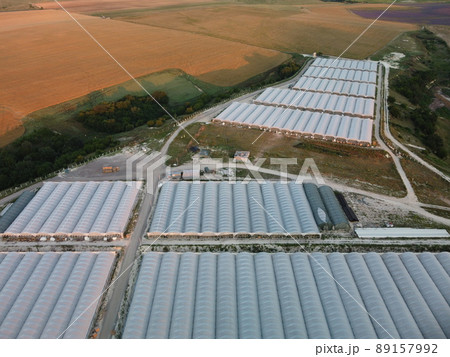 Aerial drone view of huge areas greenhouse for growing vegetables. Greenhouse farming, agriculture industry. Flying over large industrial greenhouses at sunset. 89157992