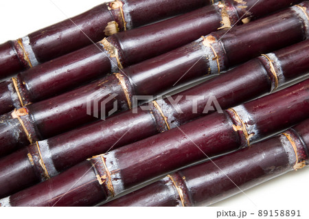 サトウキビ　甘蔗 89158891