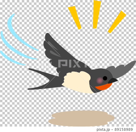 低く飛ぶツバメ 低く飛ぶツバメ 89158989