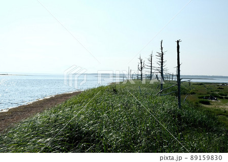 【北海道】野付半島(夏) 【北海道】野付半島(夏) 89159830