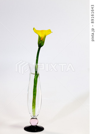 一輪挿しの黄色カラー 89161643