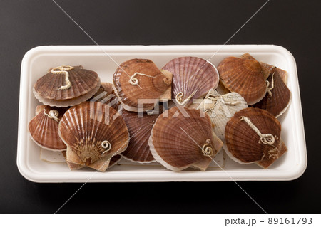 ホタテの稚貝 89161793