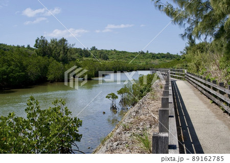 宮古島のマングローブ公園 89162785