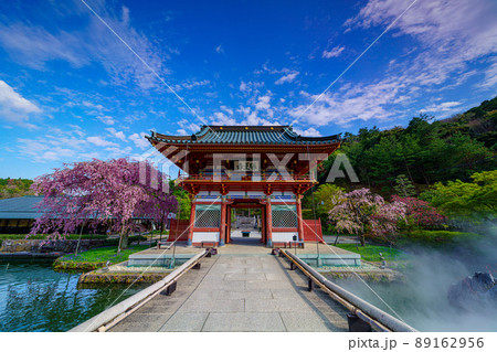 勝尾寺と桜 勝尾寺と桜 89162956