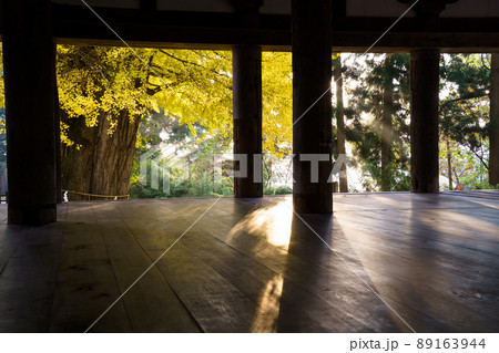 長床に差す朝日 89163944