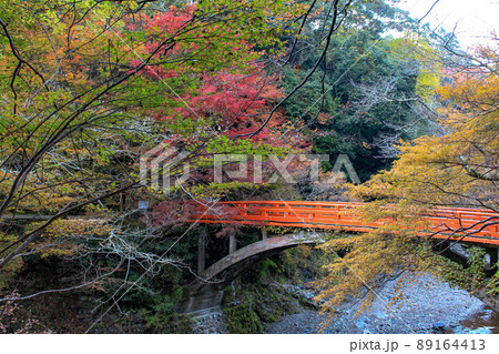 【京都】西明寺　紅葉　橋 89164413