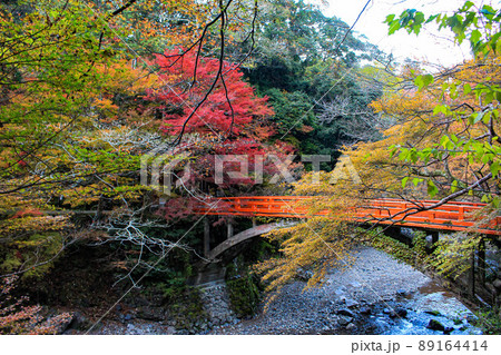 【京都】西明寺 紅葉 橋 【京都】西明寺 紅葉 橋 89164414