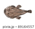アンコウの手描きラフなイラスト 89164557